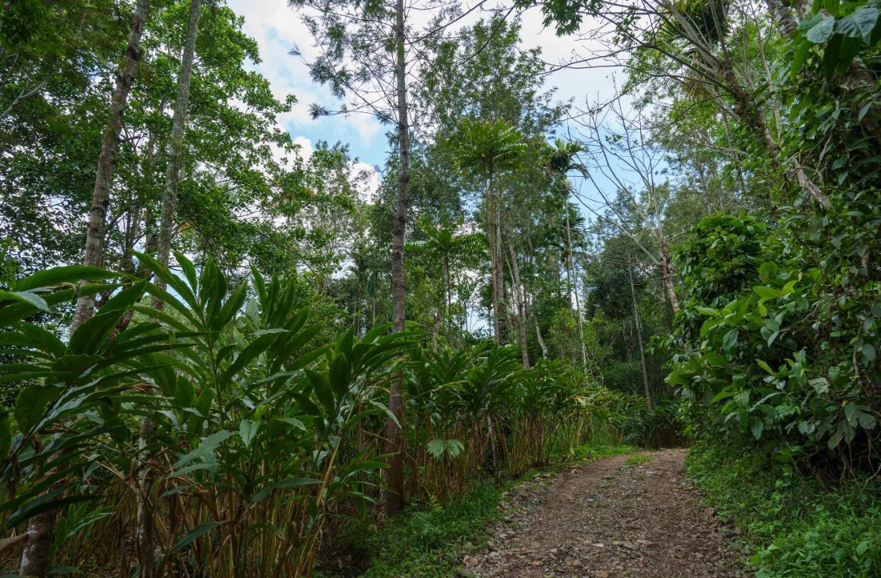 Mystic Trees, Kumily Apartment Thekkady Luaran gambar