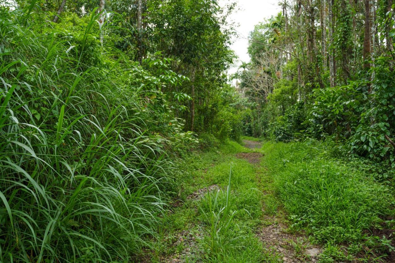 Mystic Trees, Kumily Apartment Thekkady Luaran gambar