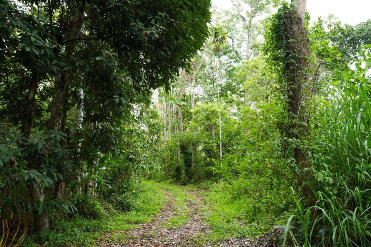 Mystic Trees, Kumily Apartment Thekkady Luaran gambar
