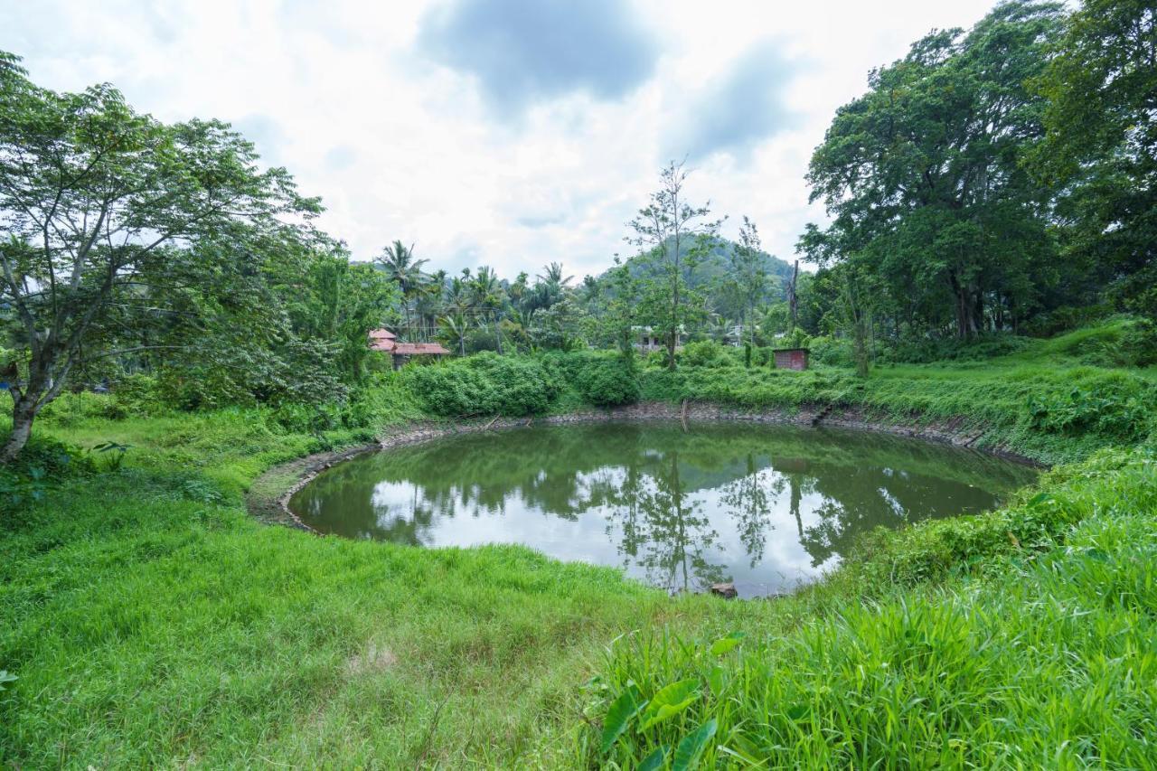 Mystic Trees, Kumily Apartment Thekkady Luaran gambar